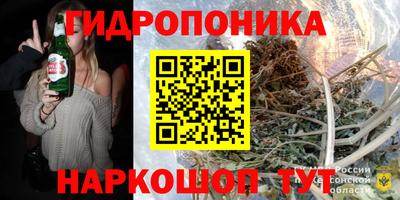 гашик Татарск
