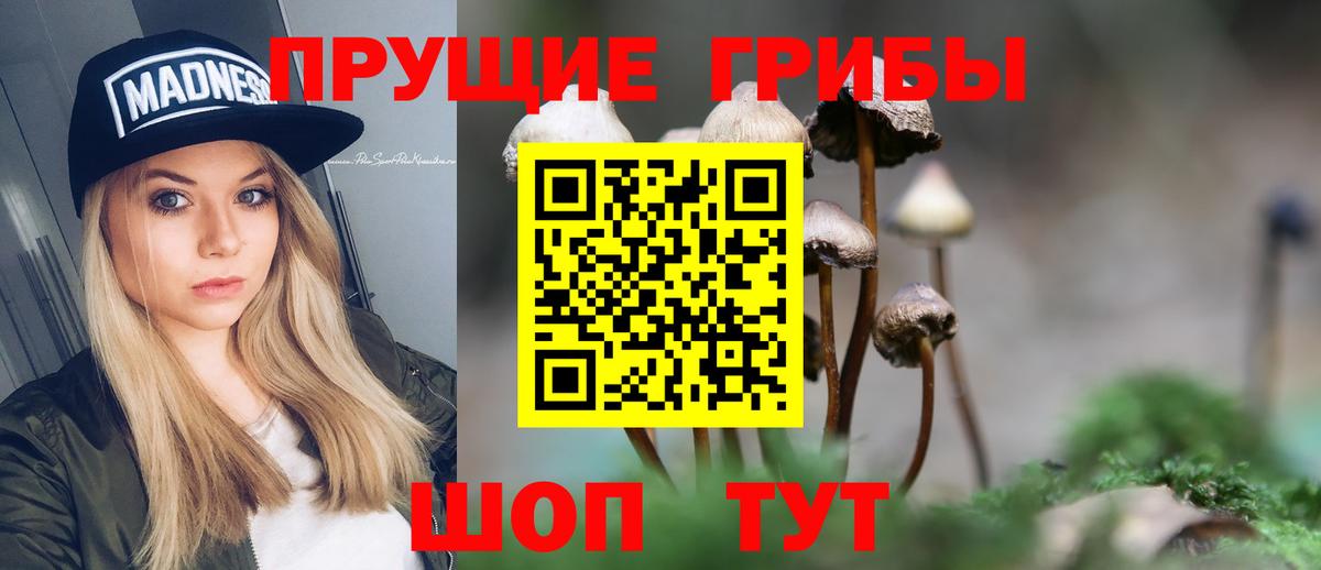 Новоуральск  Галлюциногенные грибы мицелий  Вход с VPN 